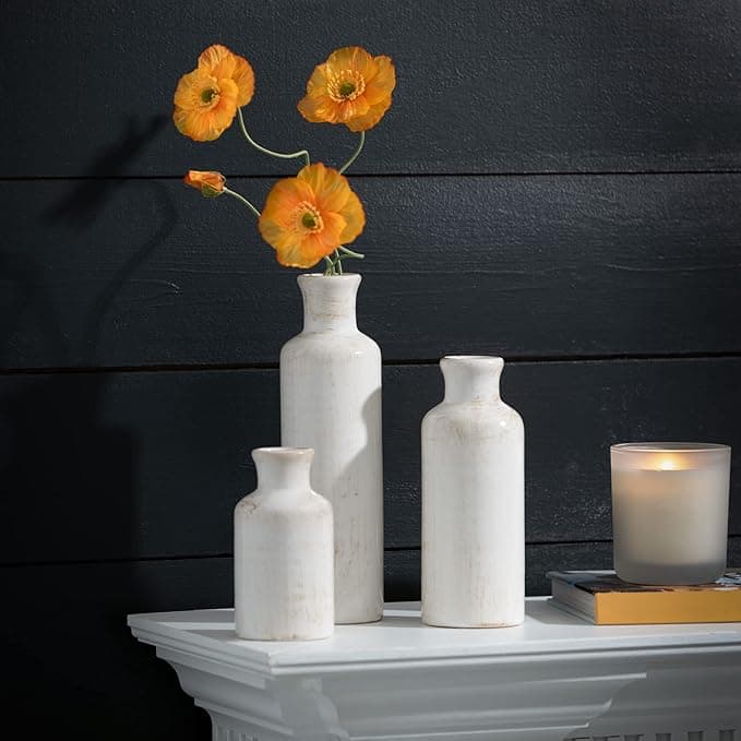 A minimalist ceramic vase that complements any decor